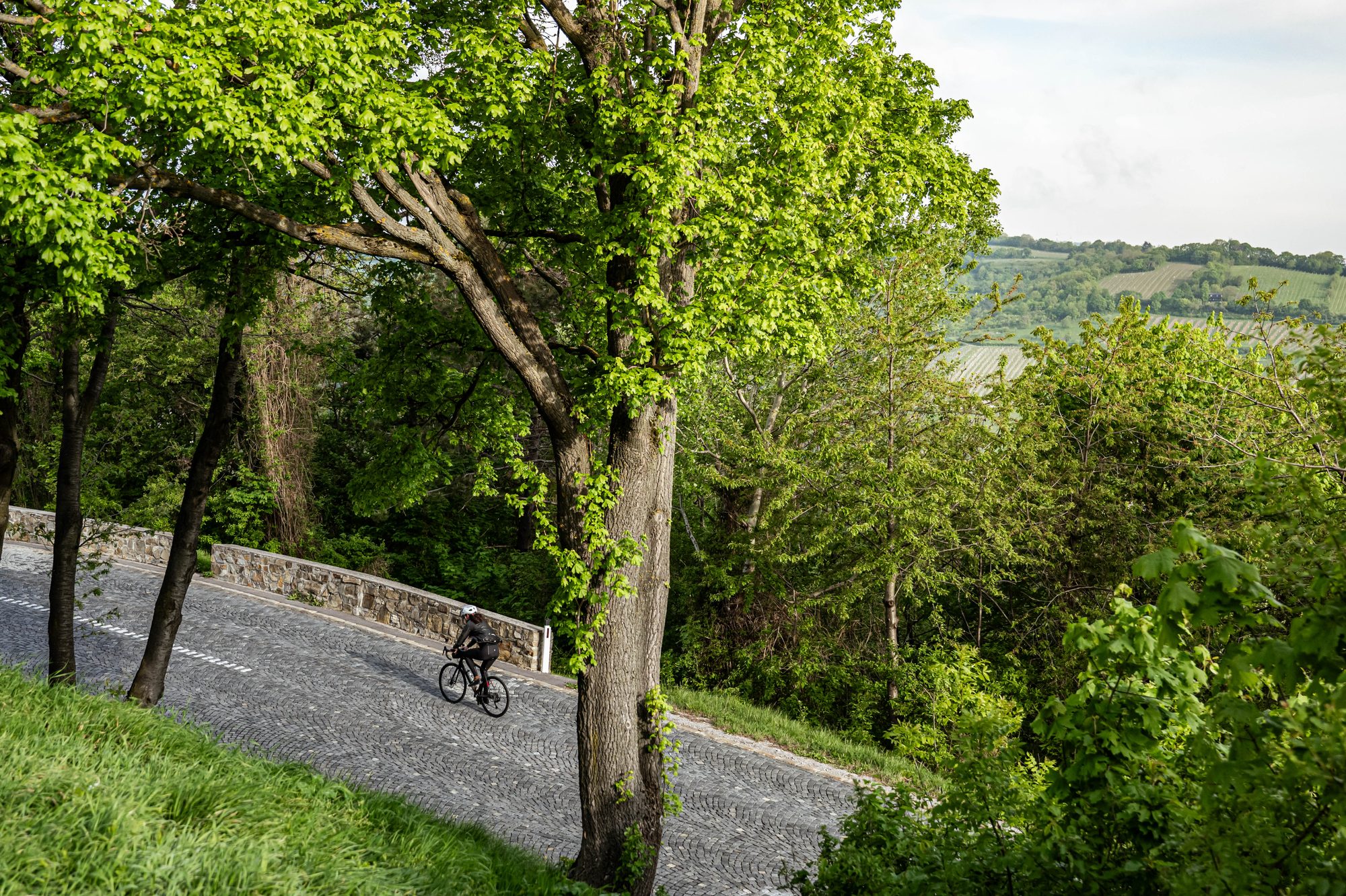 TURN02, photo 7