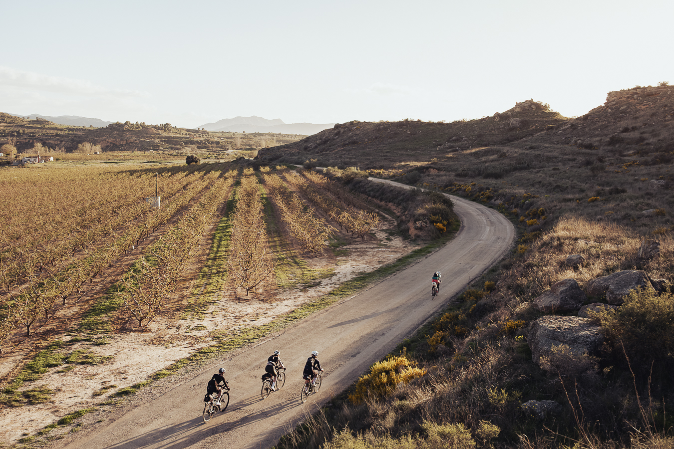 TURN04, photo 11 by @saskiacmartin