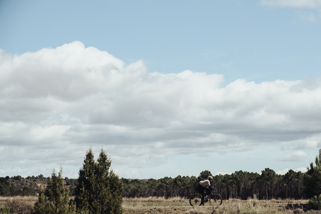 TURN04, photo 19 by @saskiacmartin