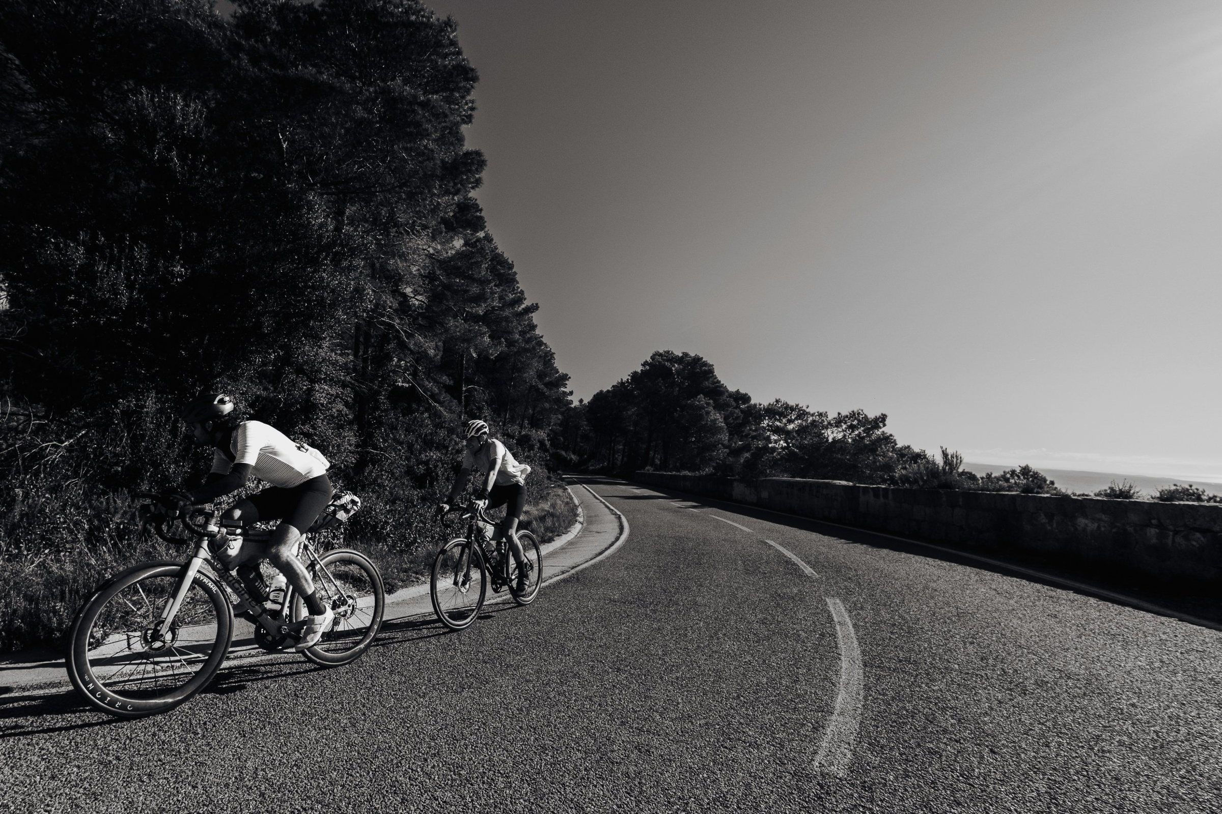 Two riders leaning into a bend on a coastal road lined with pines, black and white